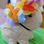 phoca_thumb_m_mdn pehldka 1a Fotogalerie